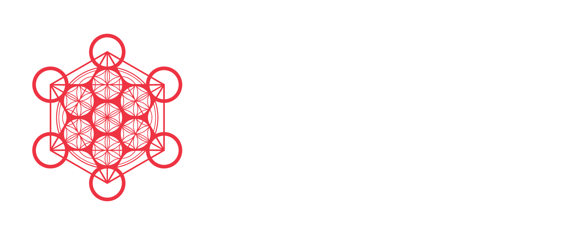 Kavli logo